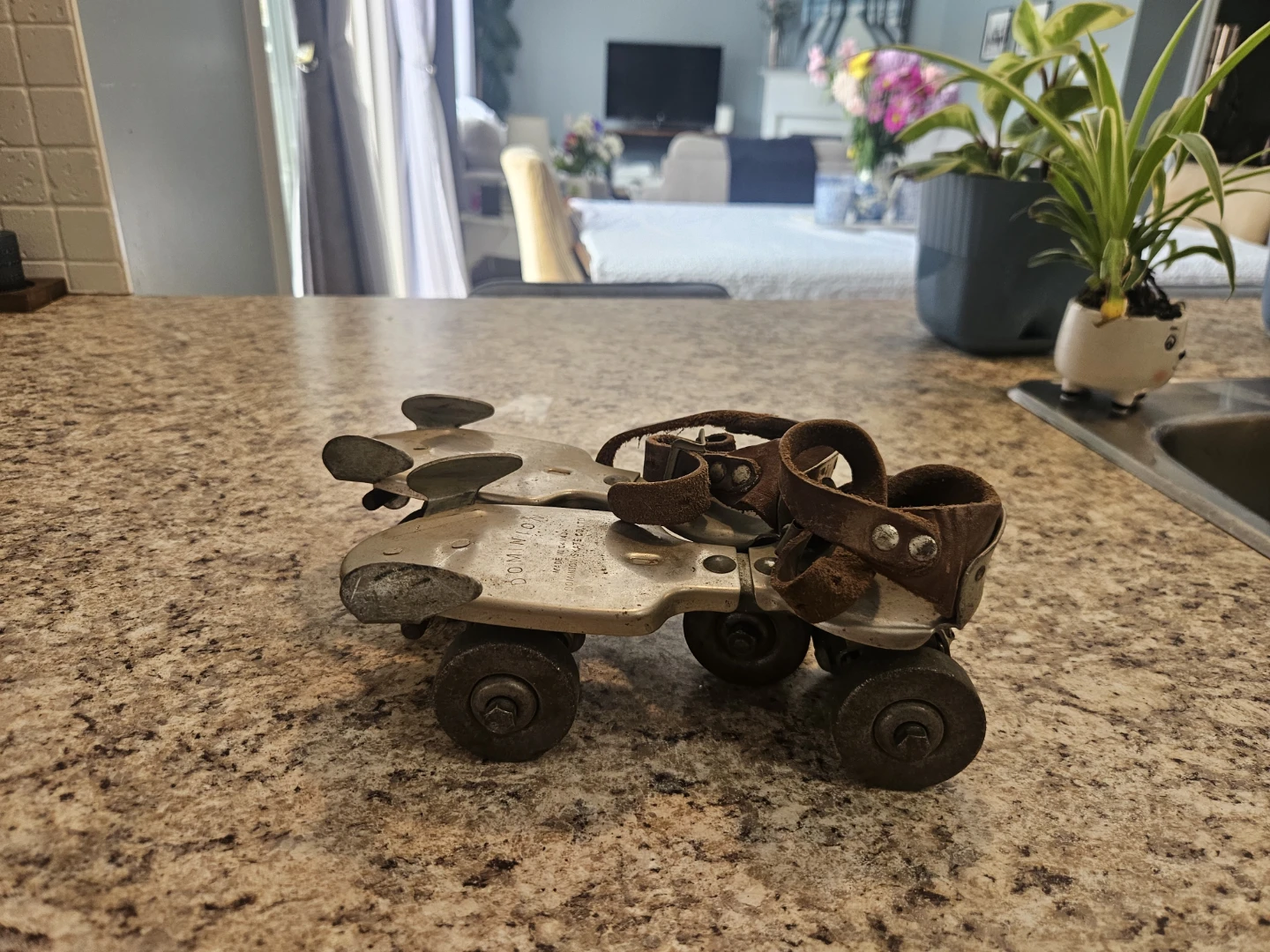 Vintage Dominion Roller Skates - photo 2