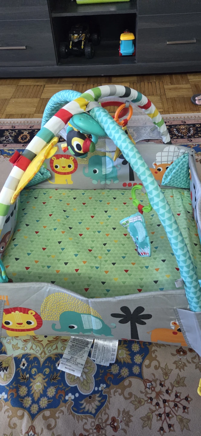 Baby Play Gym Activity Center - photo 2