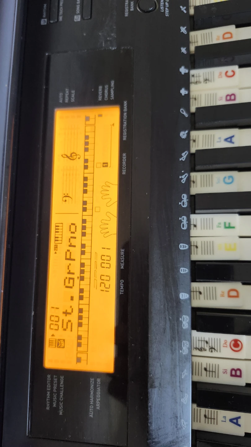 Casio CDP-220R Digital Keyboard with Stand