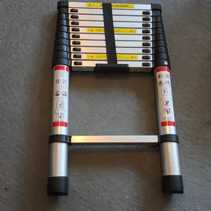 Telescopic Ladder