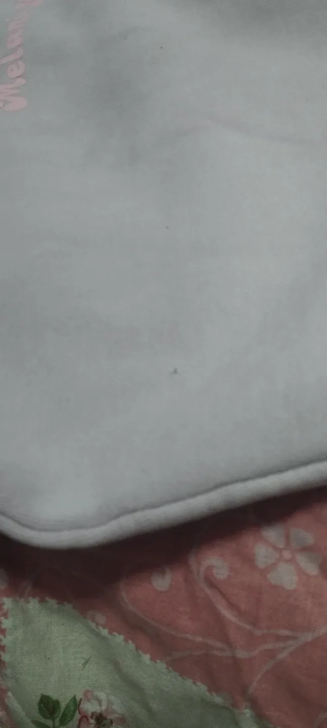 Melanie Martinez K-12 Tour Notebook Hoodie Purple - photo 4