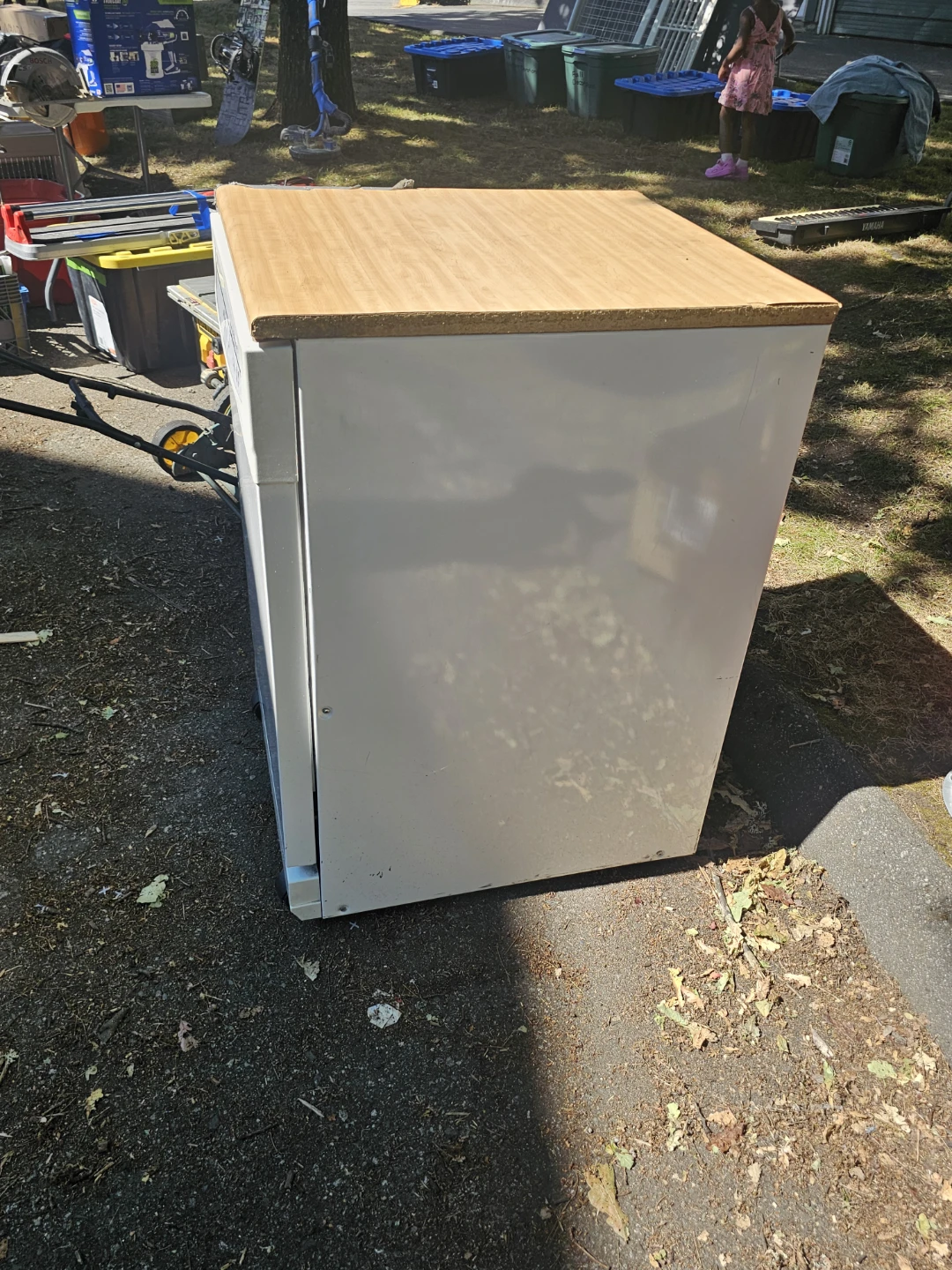 White Dishwasher with Wooden Top