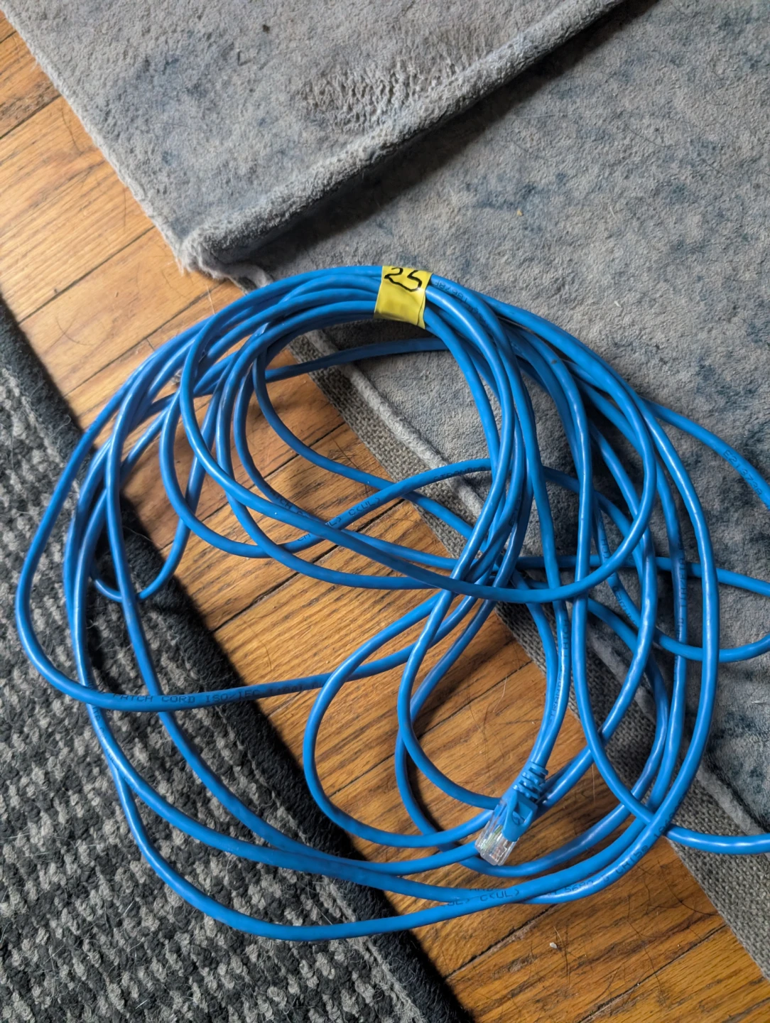 Blue Ethernet Patch Cable