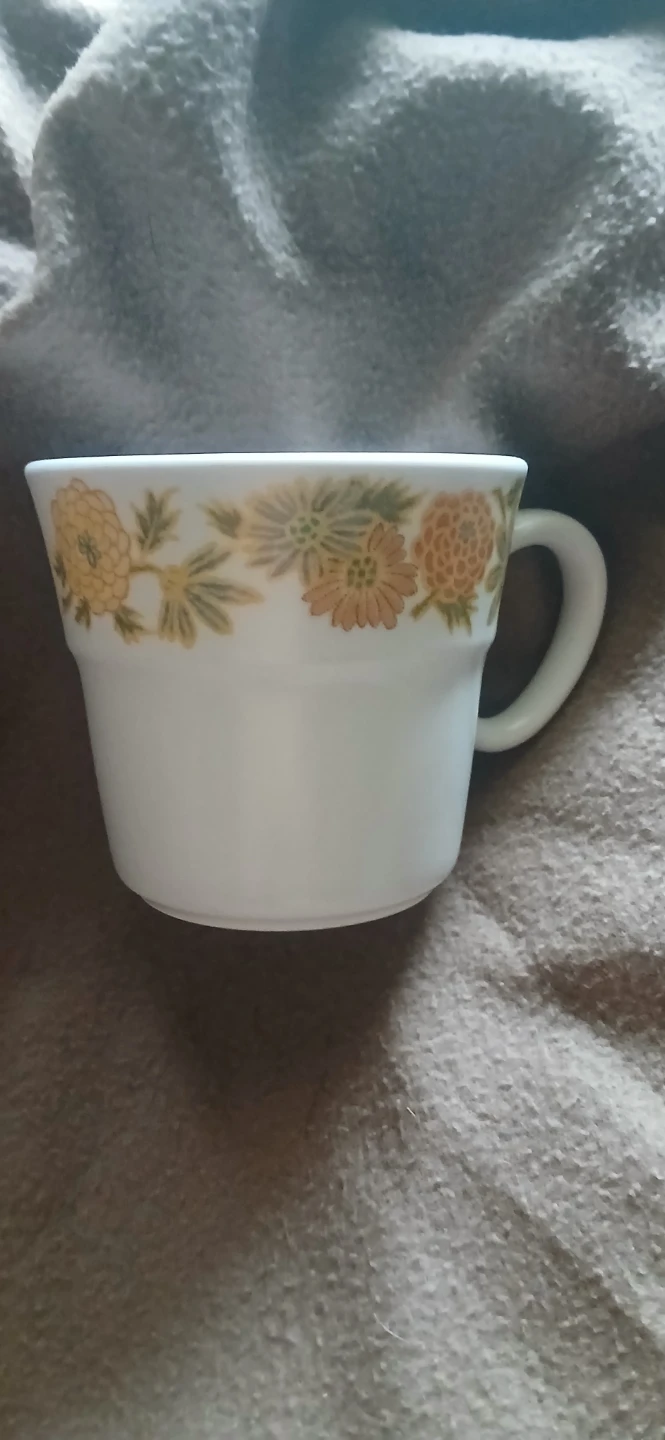 ⚽ Vintage Noritake Progression China "Sunny Side" Mug #9003