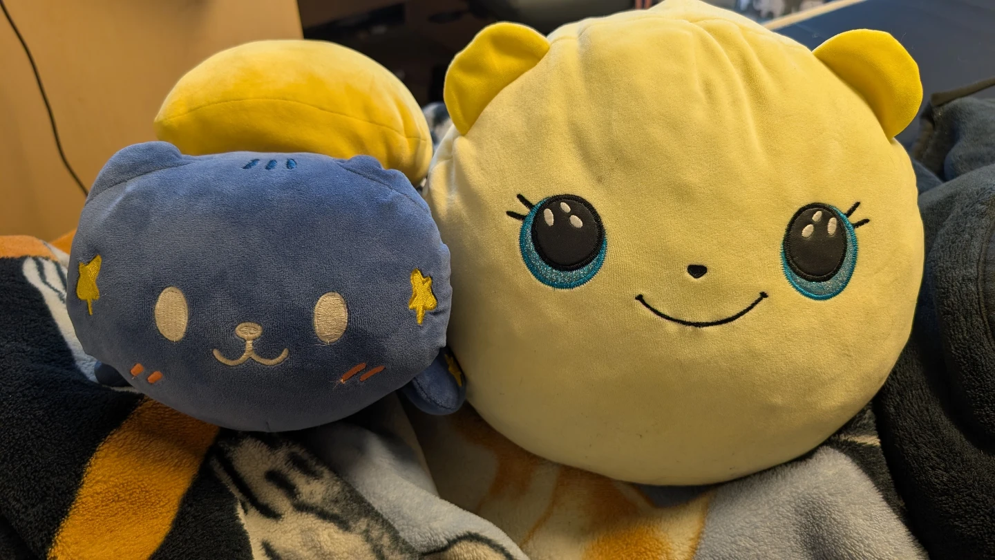 Plush cat and Ty squishmallow