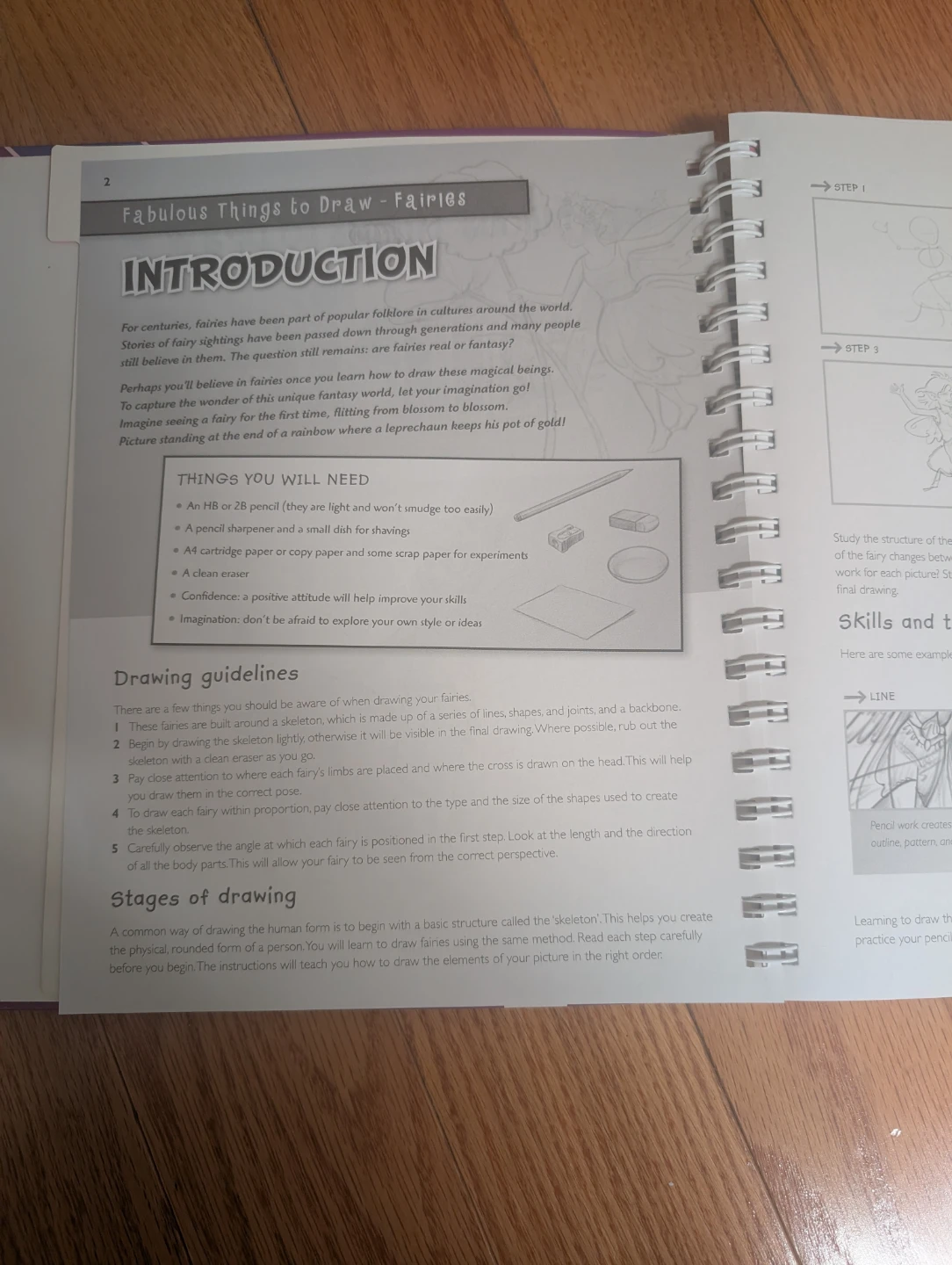 Fabulous Things to Draw Book - photo 3