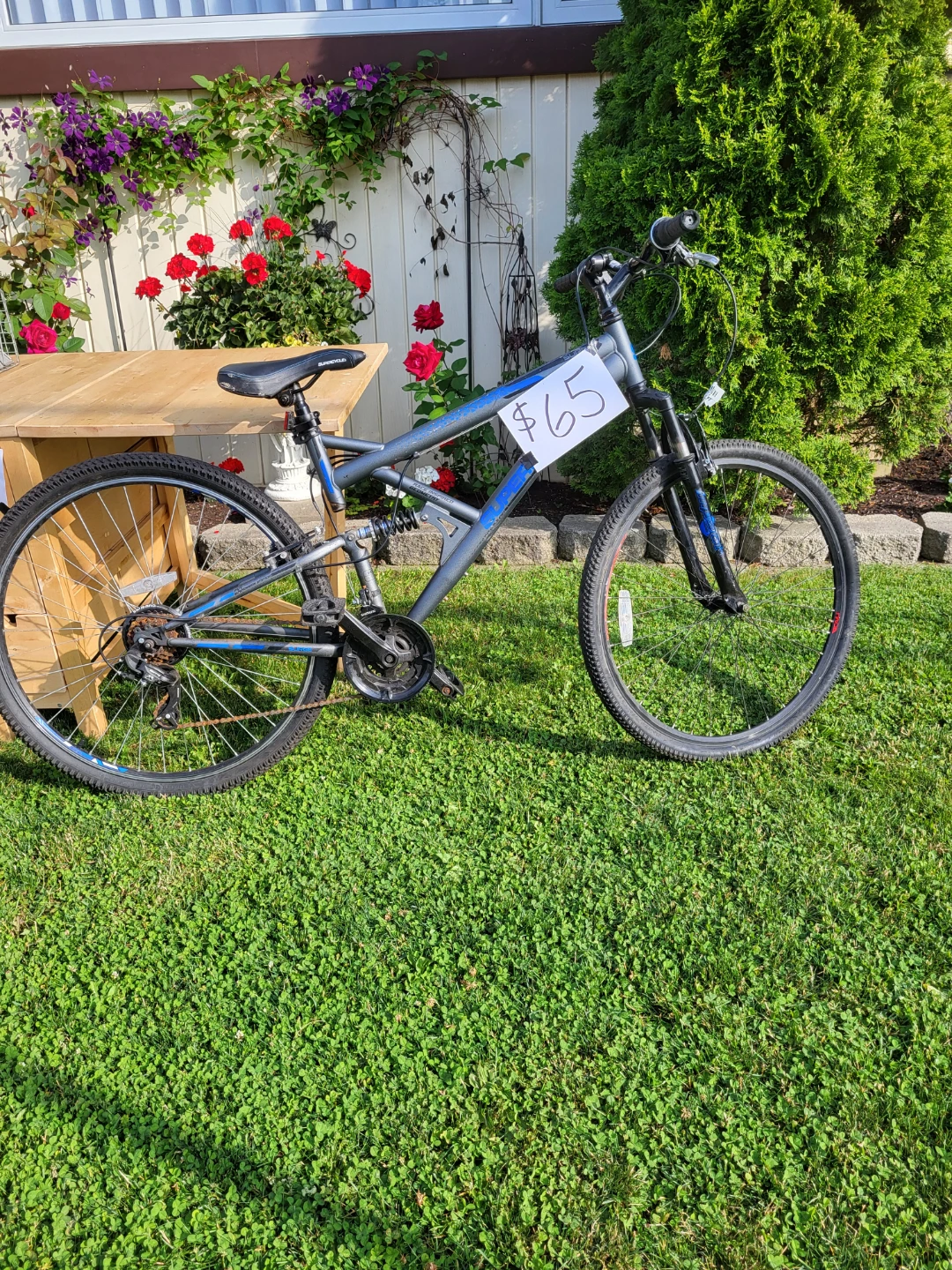 Grey and Blue Mountain Bike