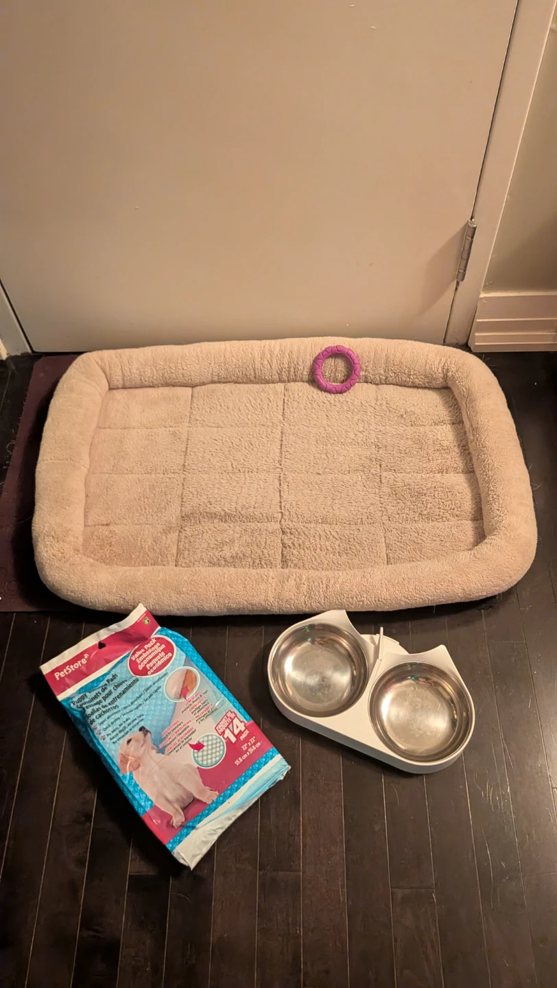 Dog Bundle - Bed, Pee Pads, Bowls, Toy