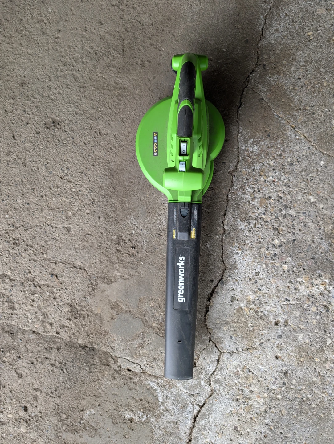 Greenworks Leaf Blower with Collection Bag