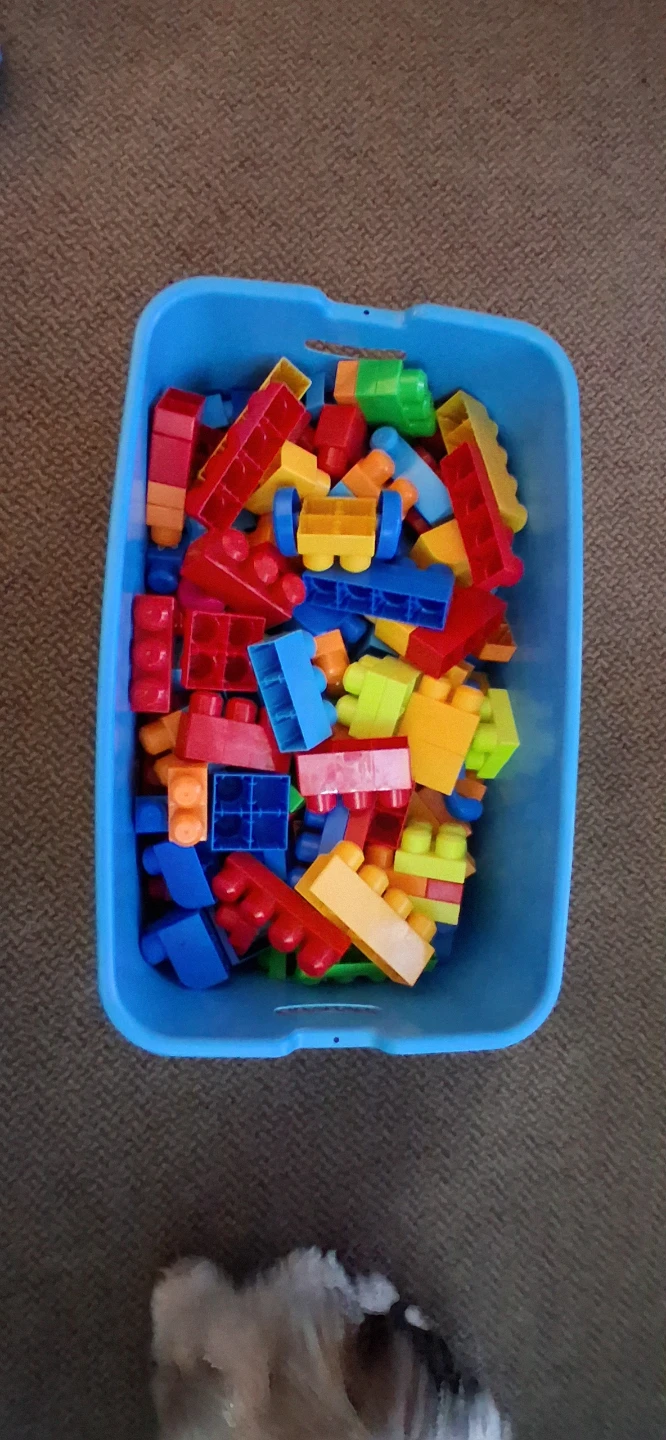 Mega Bloks First Builders 200 Piece Set
