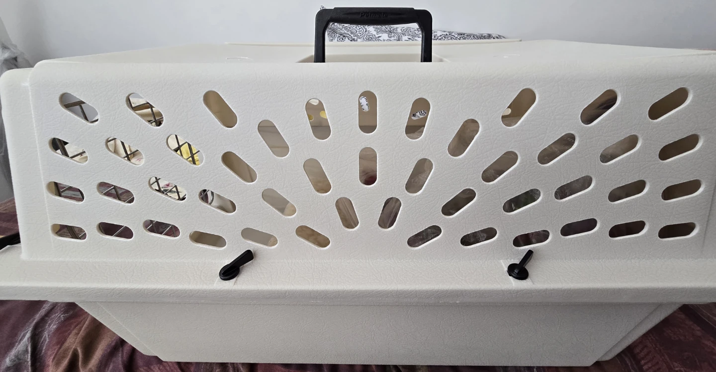 ⚽Classic Kennel Pet Carrier with Fleece Pad⚽