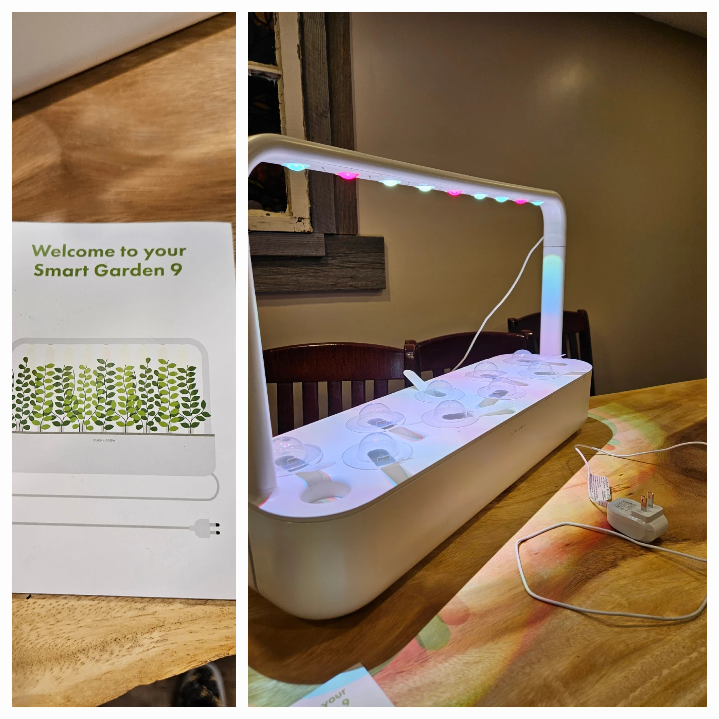 Click & Grow Smart Garden 9 and Click and Grow 3 - photo 5