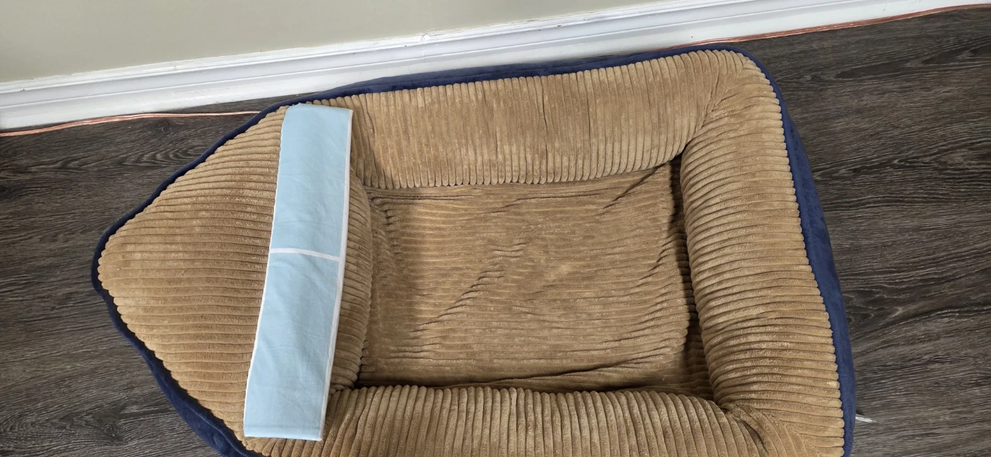 Dog Bed with Pillow