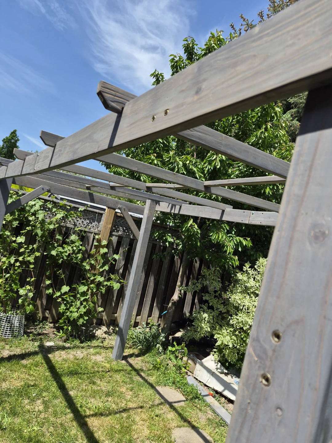 Wooden Pergola Structure - photo 2