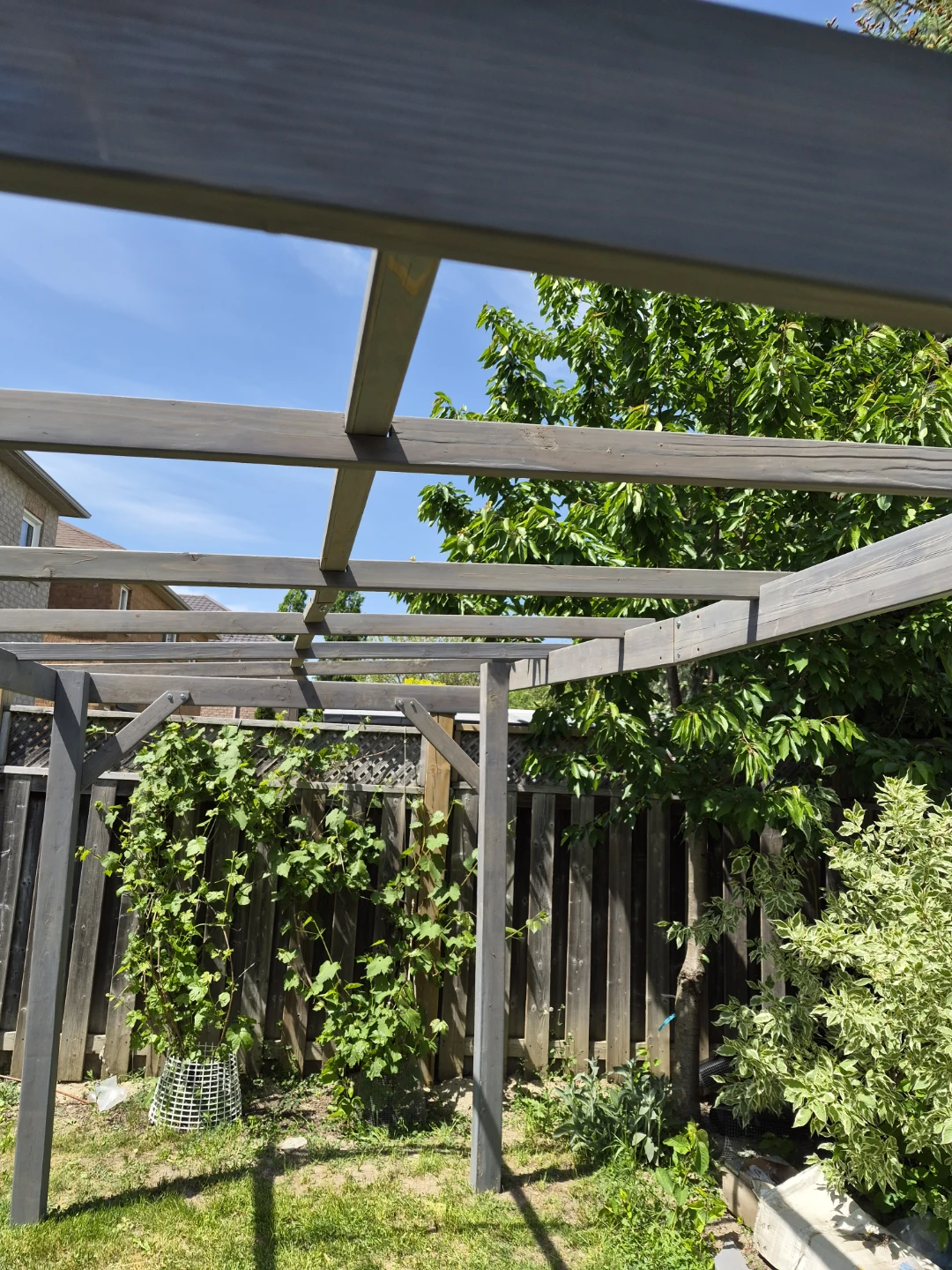 Wooden Pergola Structure - photo 3