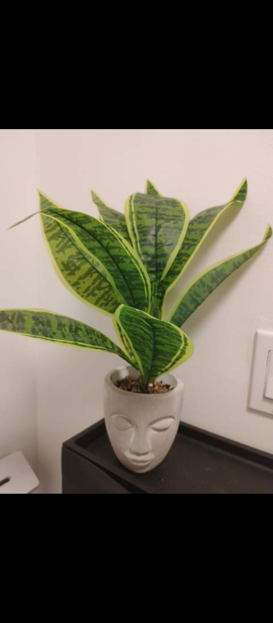 Artificial Plant in Face Pot New - photo 2