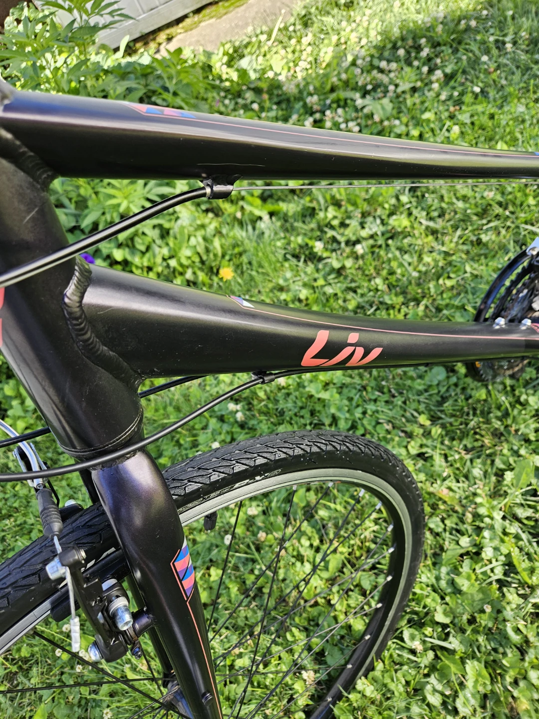 Liv Alight 3 Hybrid Bike - photo 5