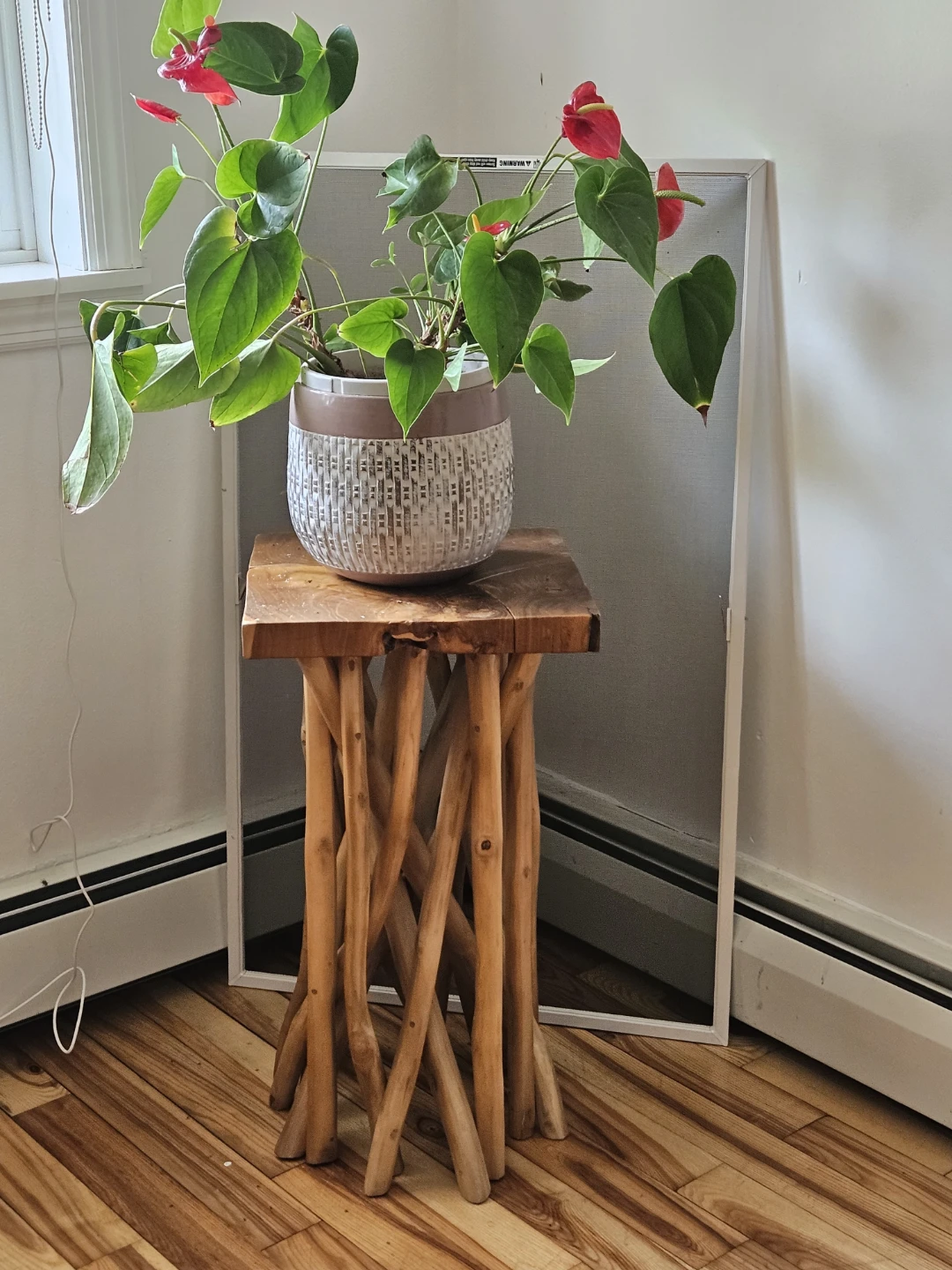 Rustic Wood Plant Stand with Potted Anthurium