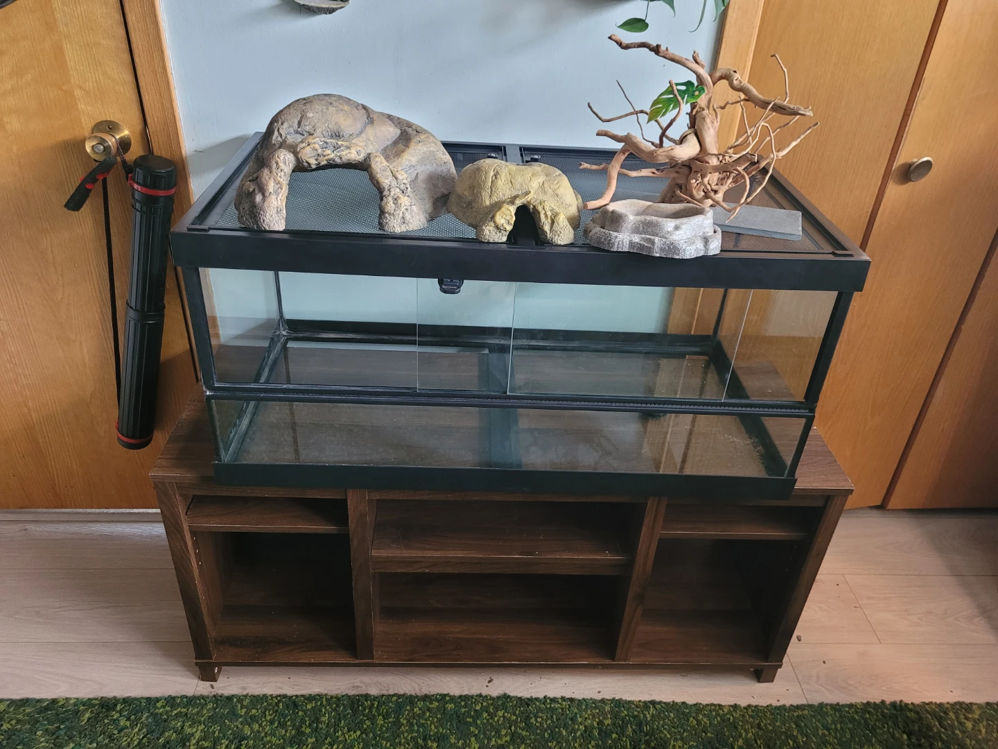 40 Gallon Terrarium + Decorations + Free Stand