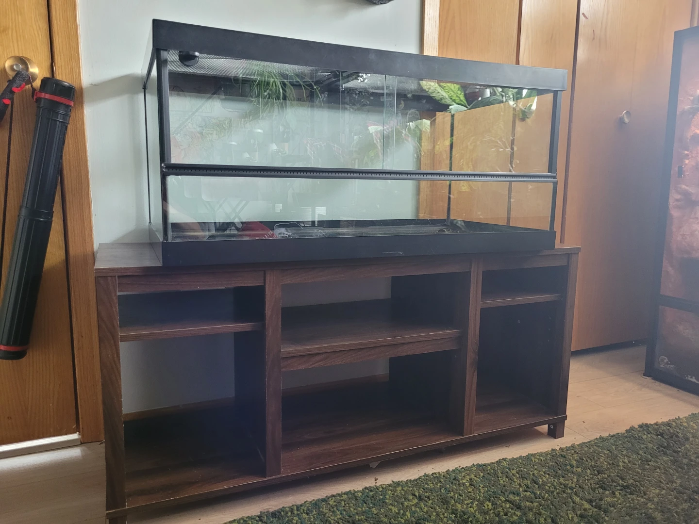 40 Gallon Terrarium + Decorations + Free Stand - photo 2