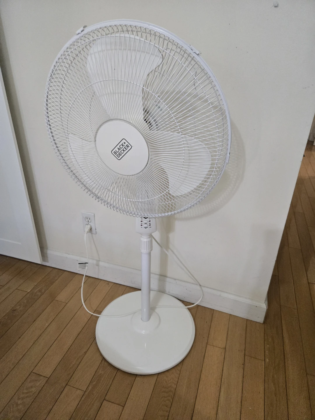 Fan
