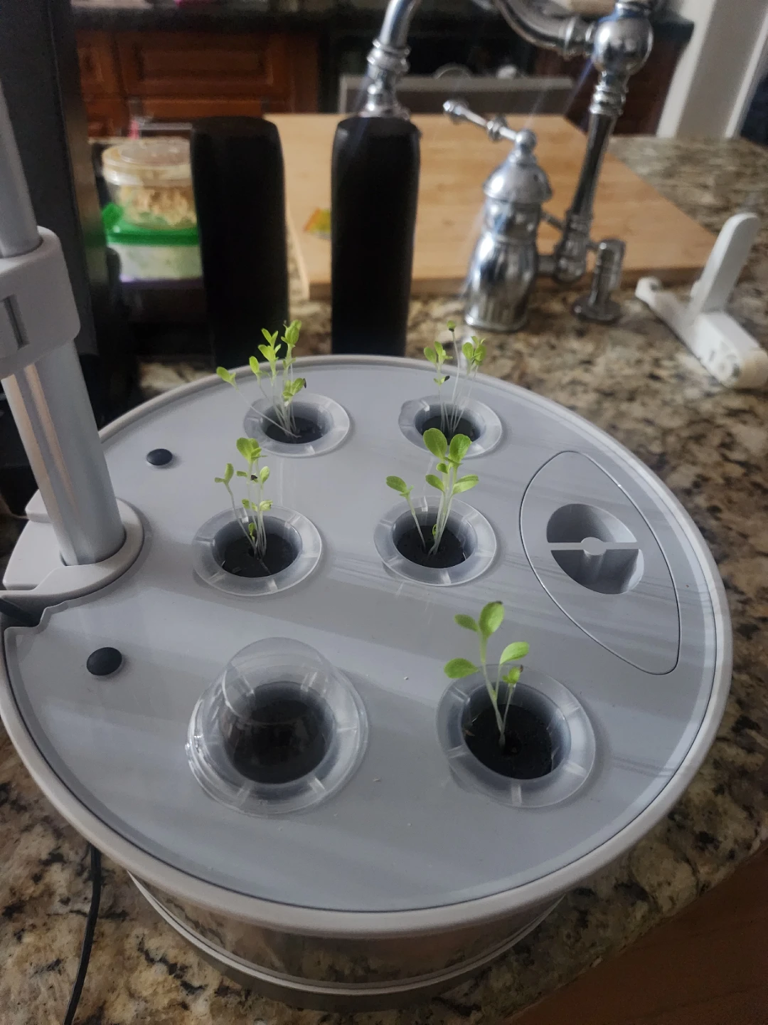 AeroGarden Harvest Elite 360 Indoor Hydroponic System - photo 4