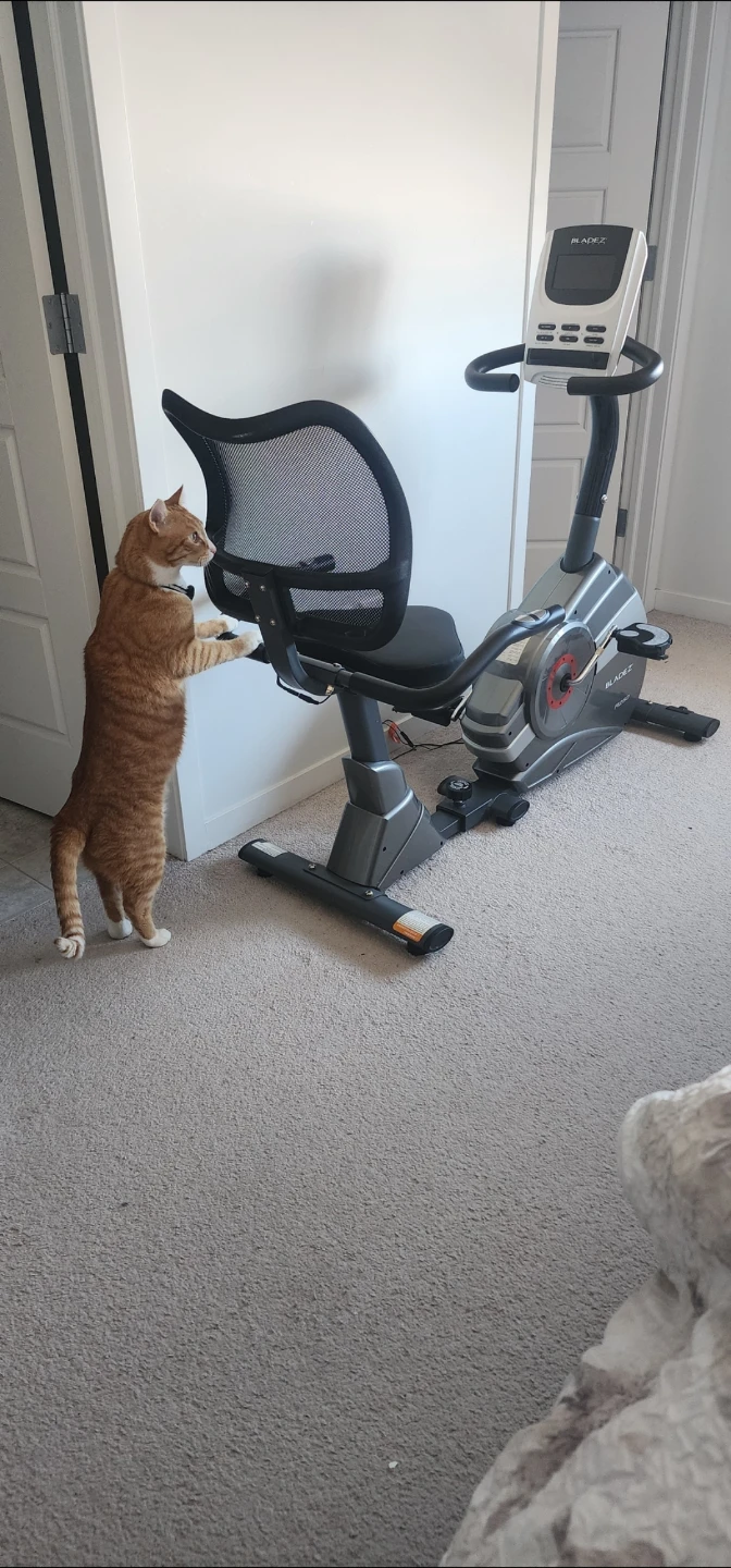 BladeZ Recumbent Exercise Bike