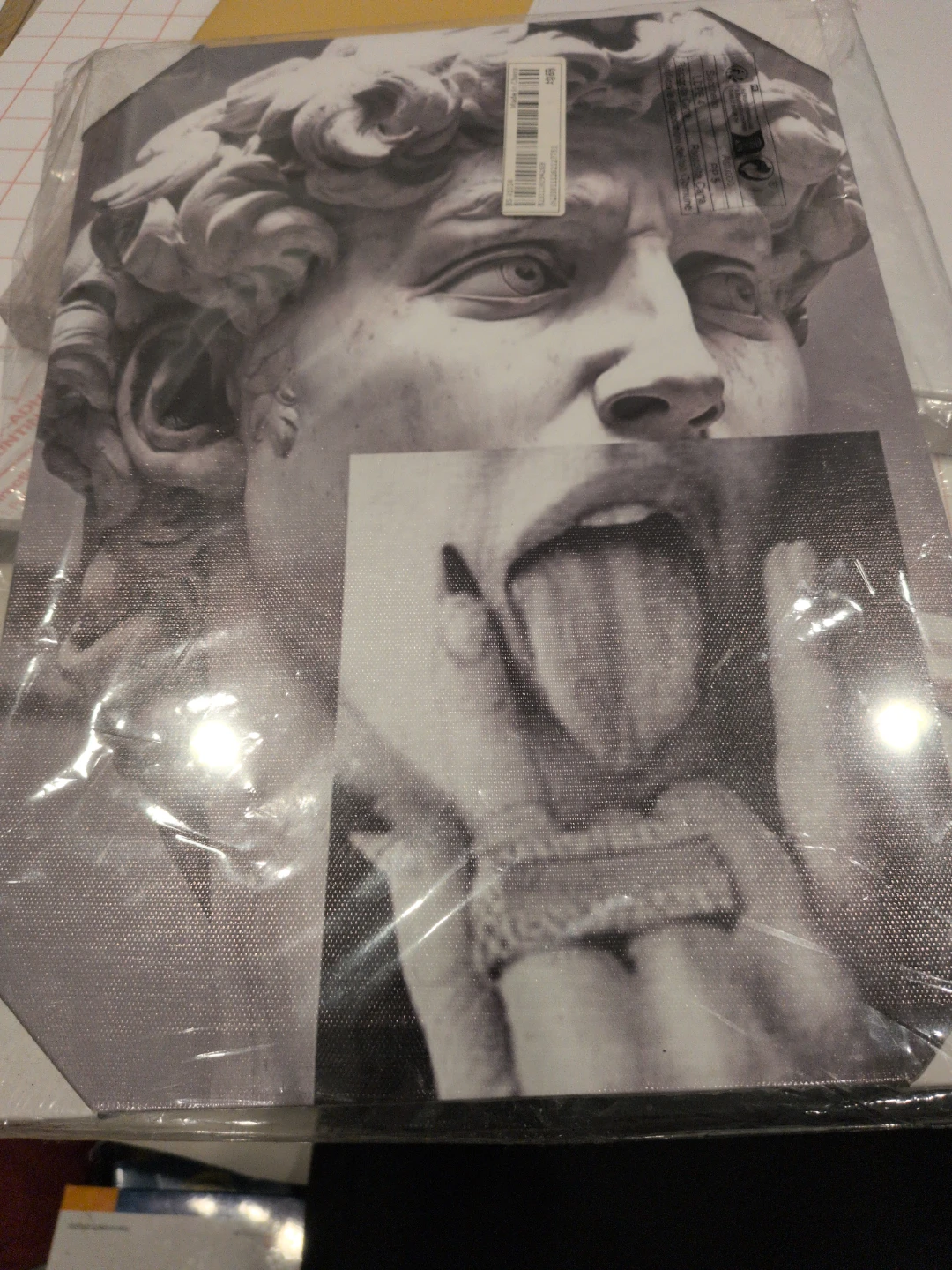 Canvas Wall Art David