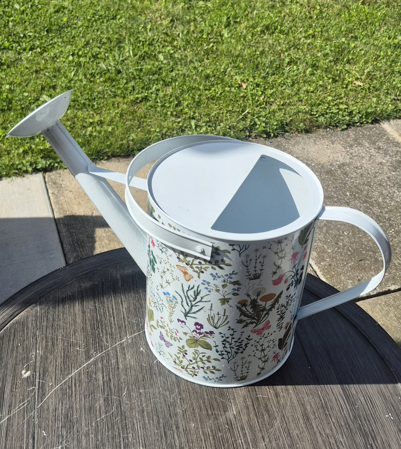 Decorative Watering Can