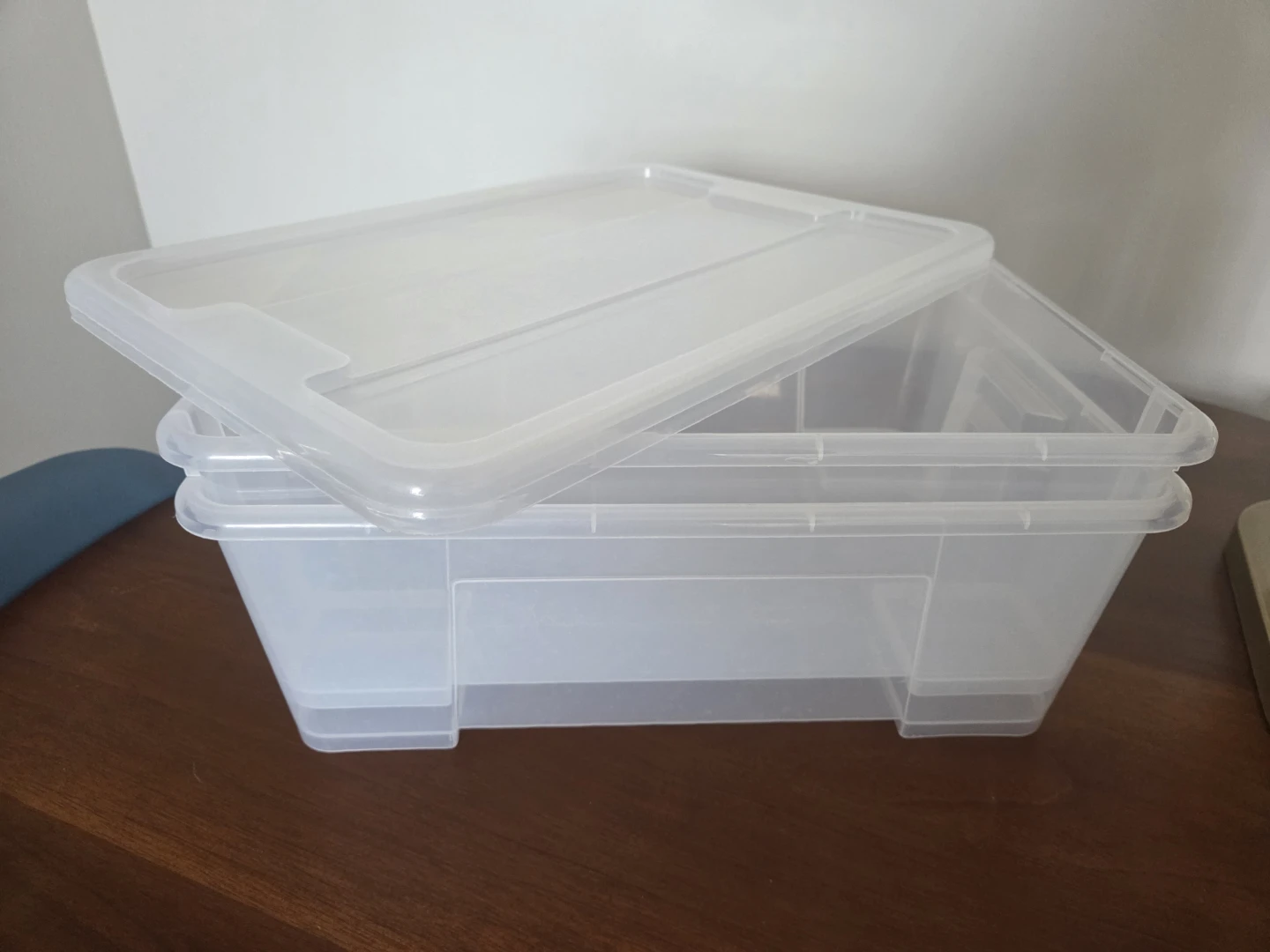 Clear Plastic Storage Bin with Lid