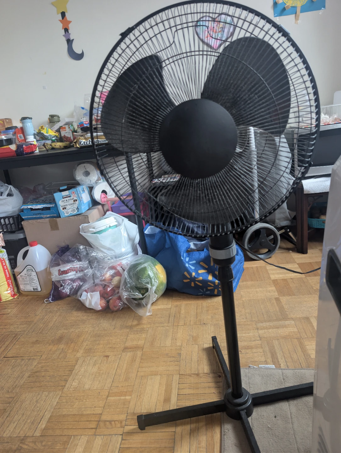 Black oscillating fan (2pieces)