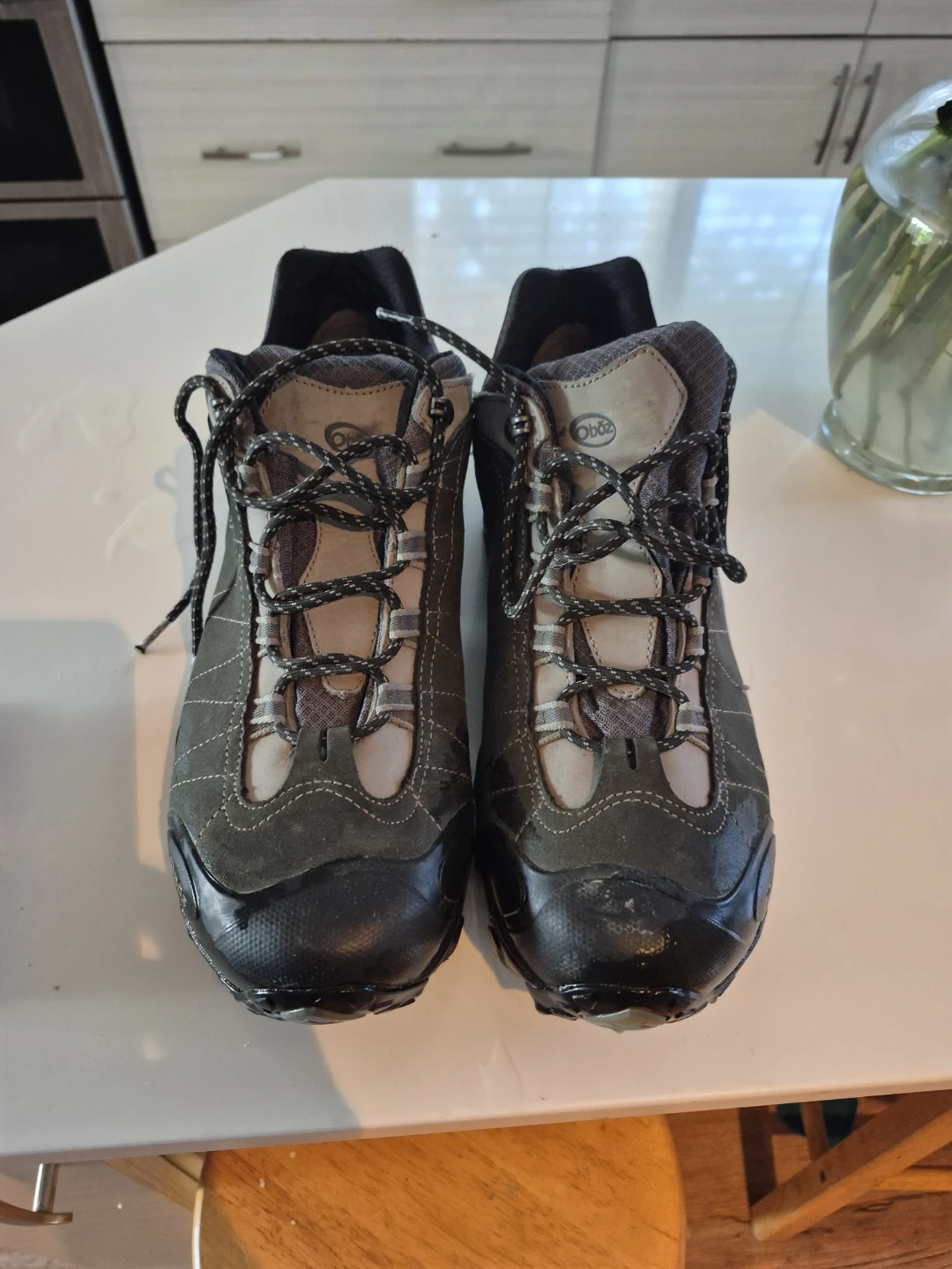 Men's Oboz Bridger Low B-Dry Hiking Shoes