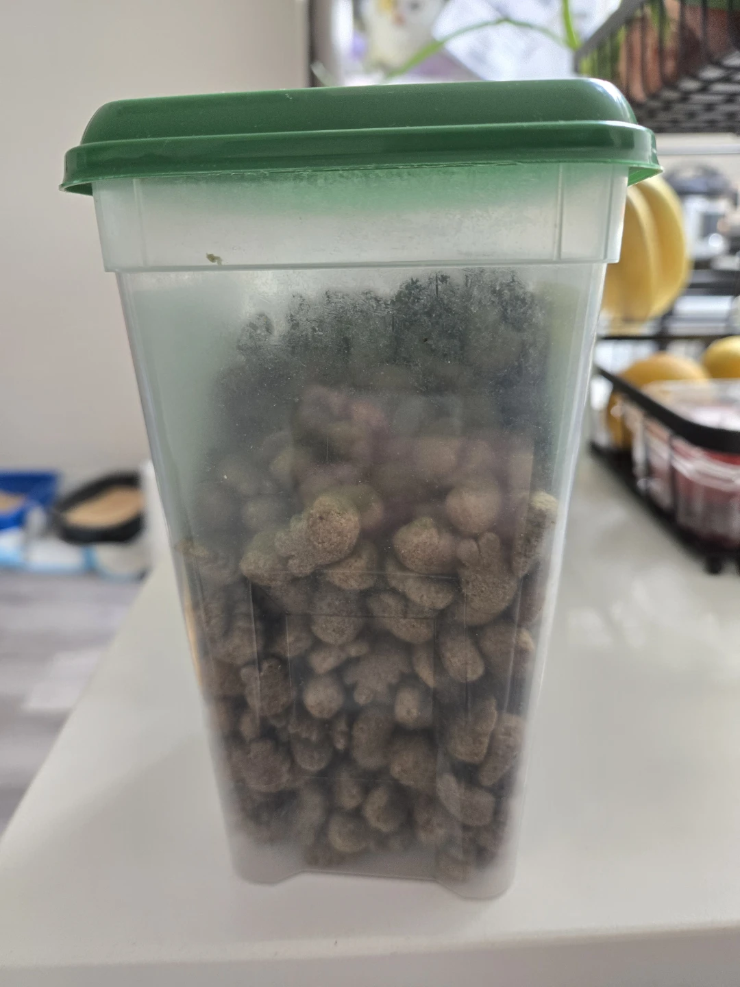Feline Greenies Catnip Flavour Dental Treats - photo 2