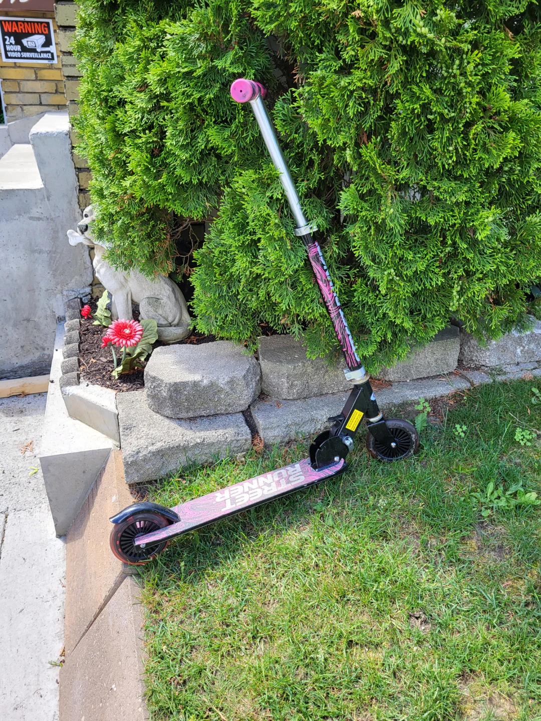 Street Runner Scooter