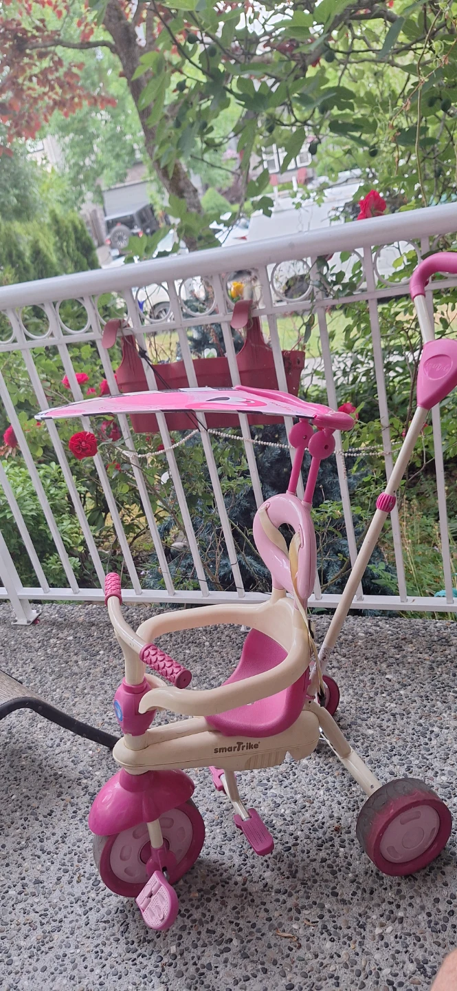 SmartTrike Pink Tricycle