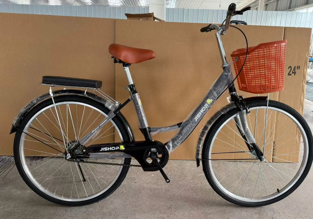 Brand new bicycle adult
