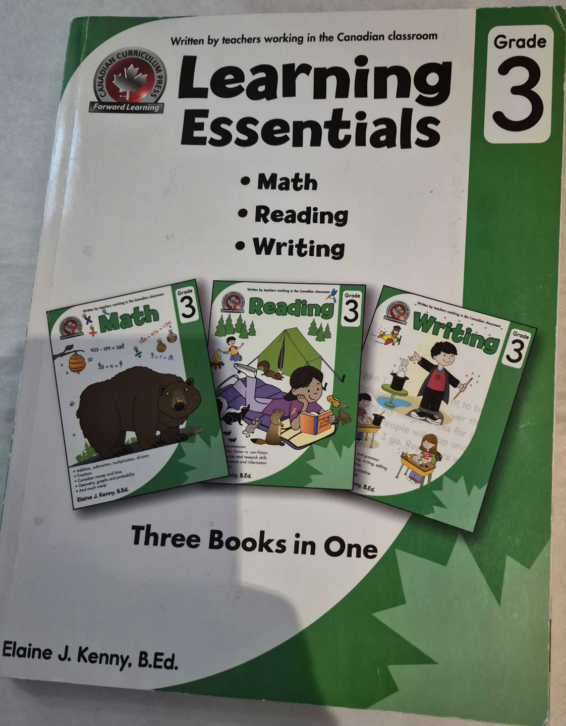 Grade 3 Reading, Math & Writing Ready to Learn Collection - photo 3