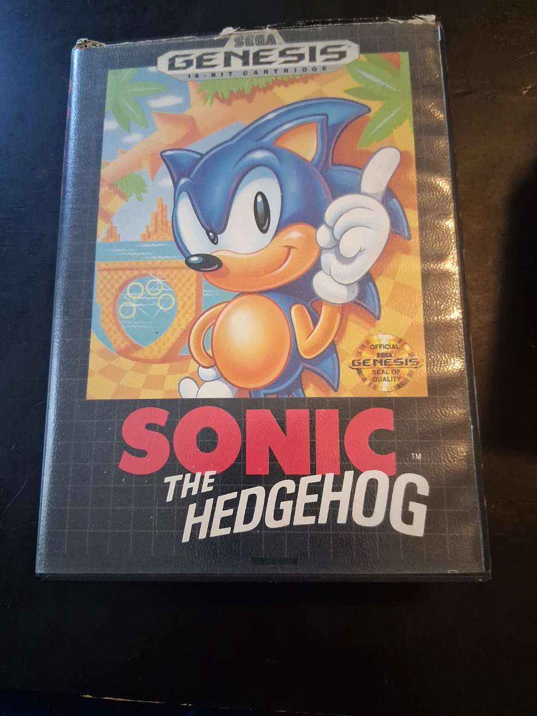 Sega Genesis Sonic the Hedgehog Game