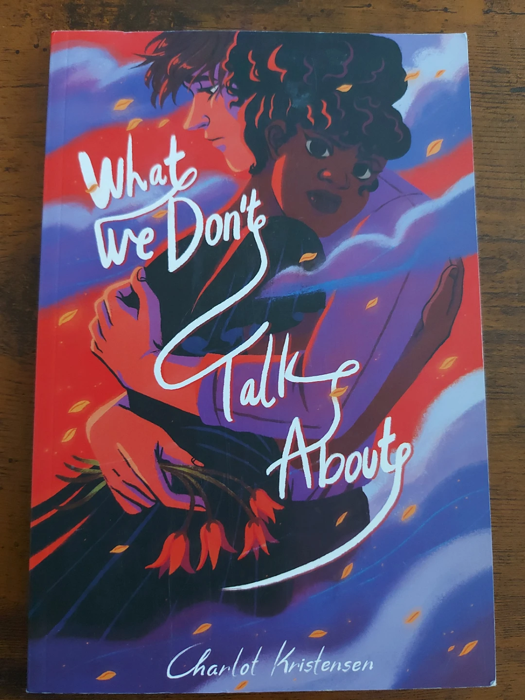 What We Don't Talk About Graphic Novel by Charlot Kristensen