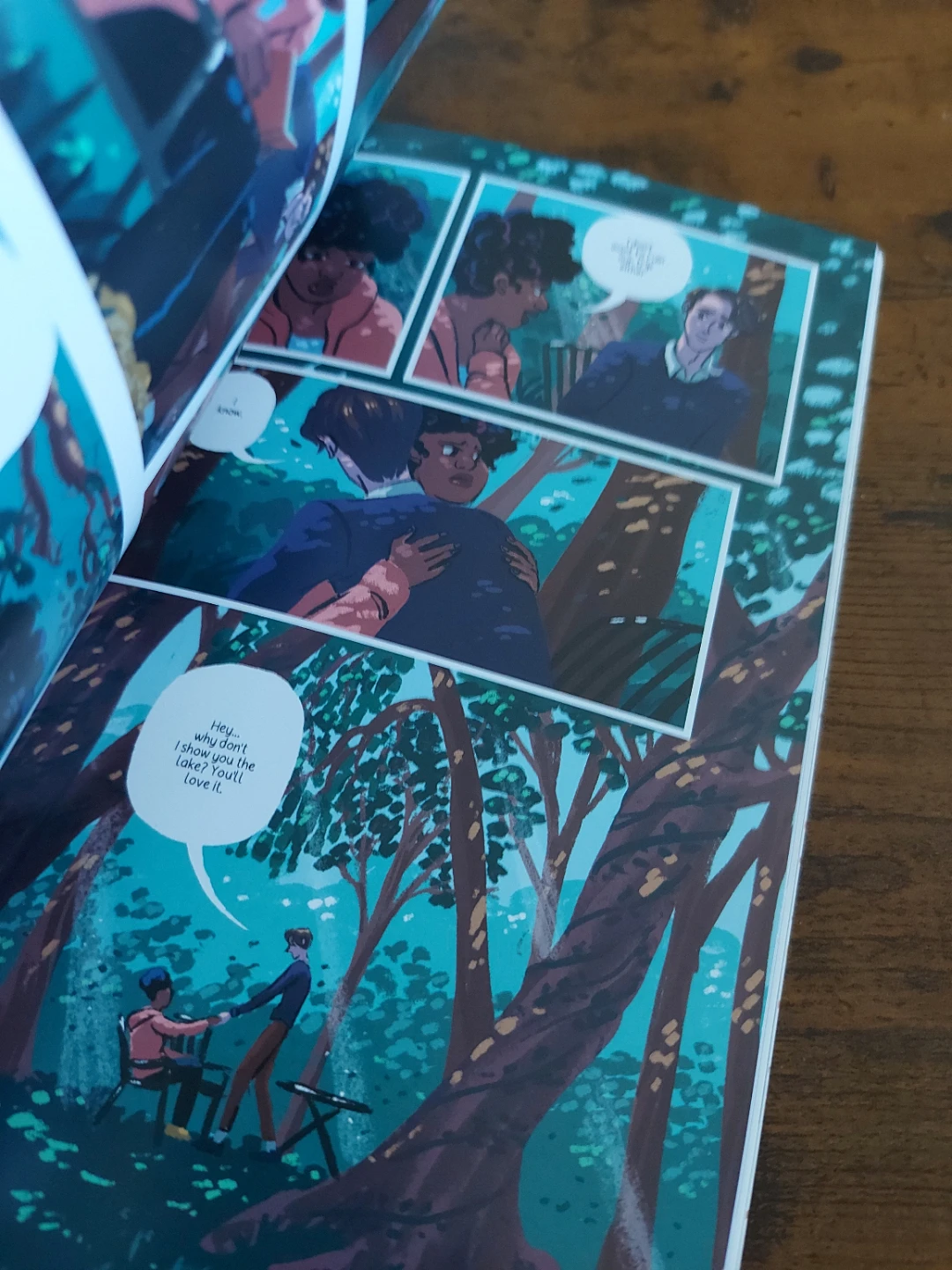 What We Don't Talk About Graphic Novel by Charlot Kristensen - photo 2