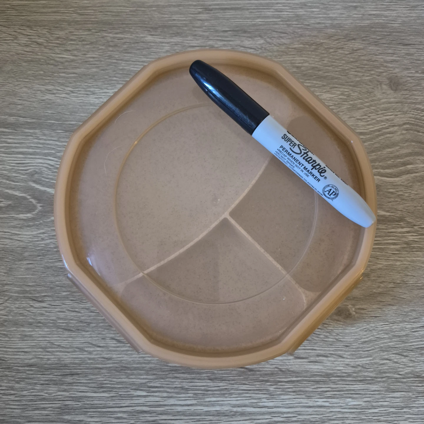 Lunch/Picnic Container with Compartments