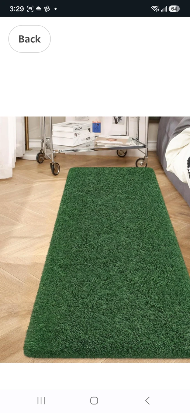 Rug .2 by 6 - photo 5