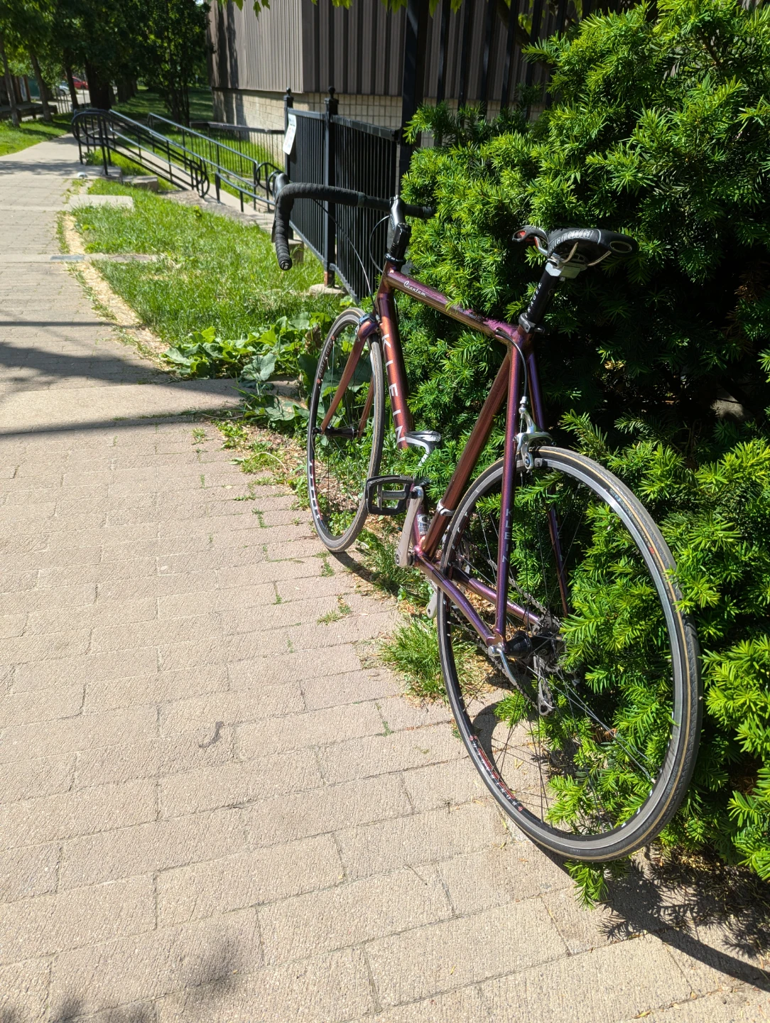 Vintage Klein Quantum Road Bike - Plum Crazy - photo 4