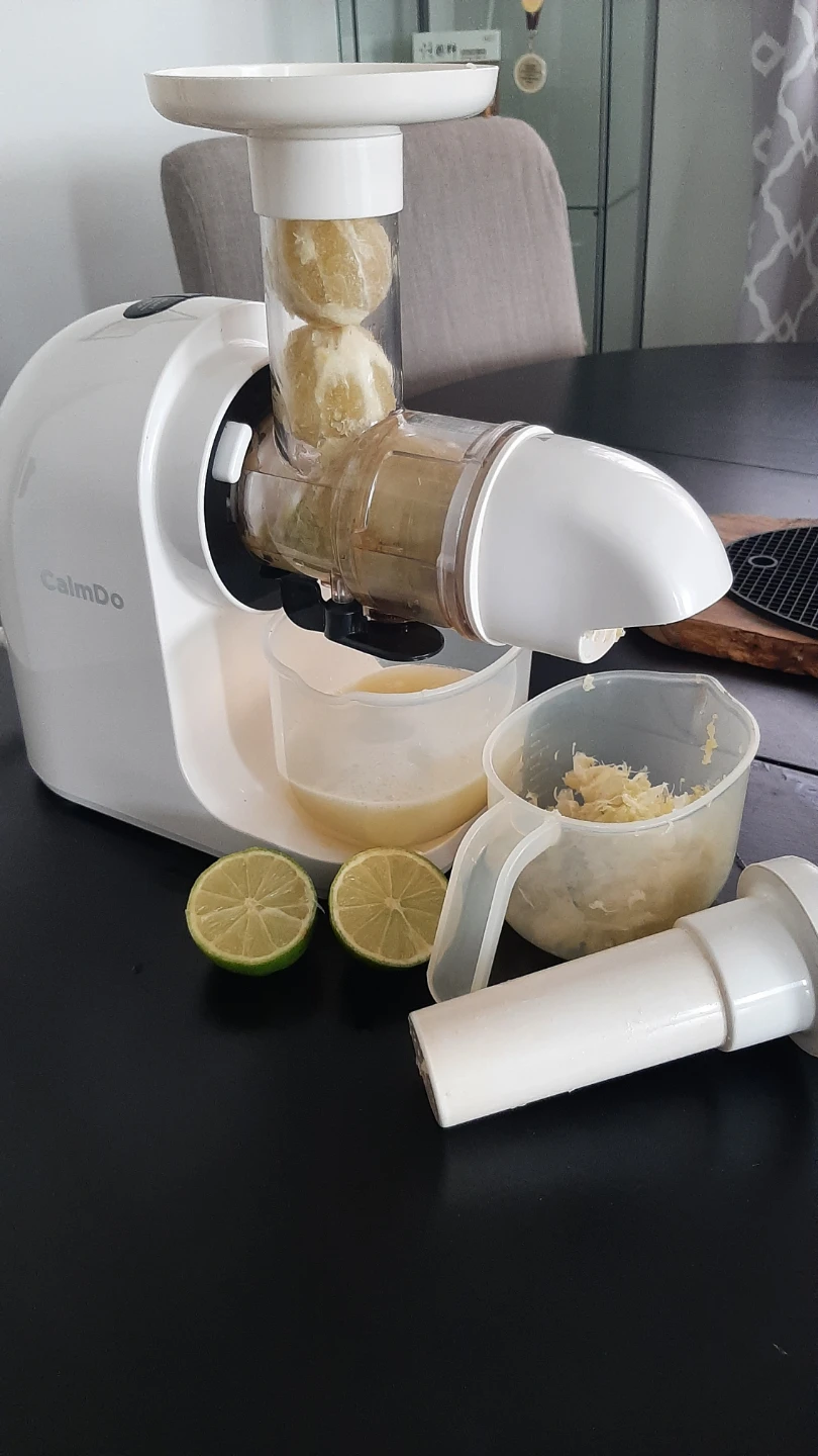 CalmDo White Juicer