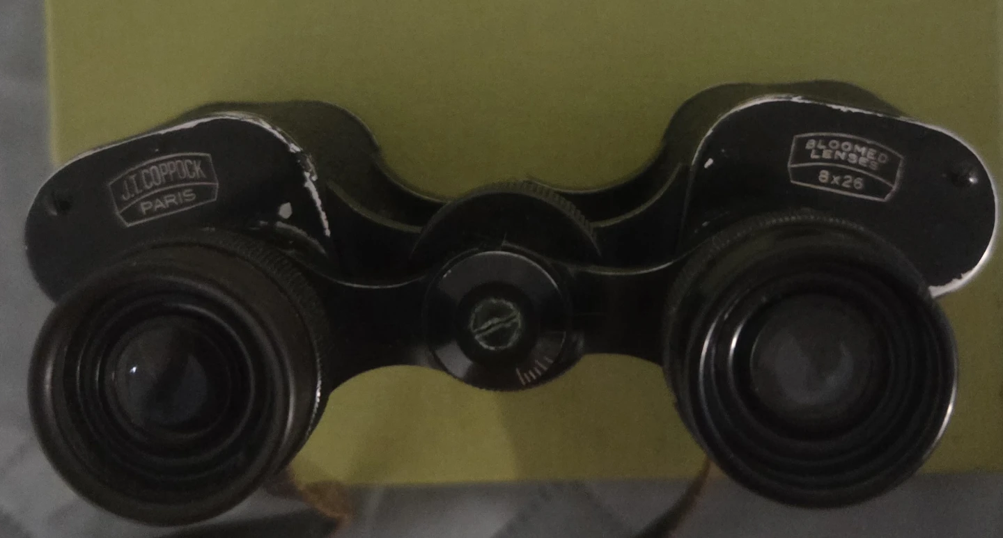 Binoculars with case