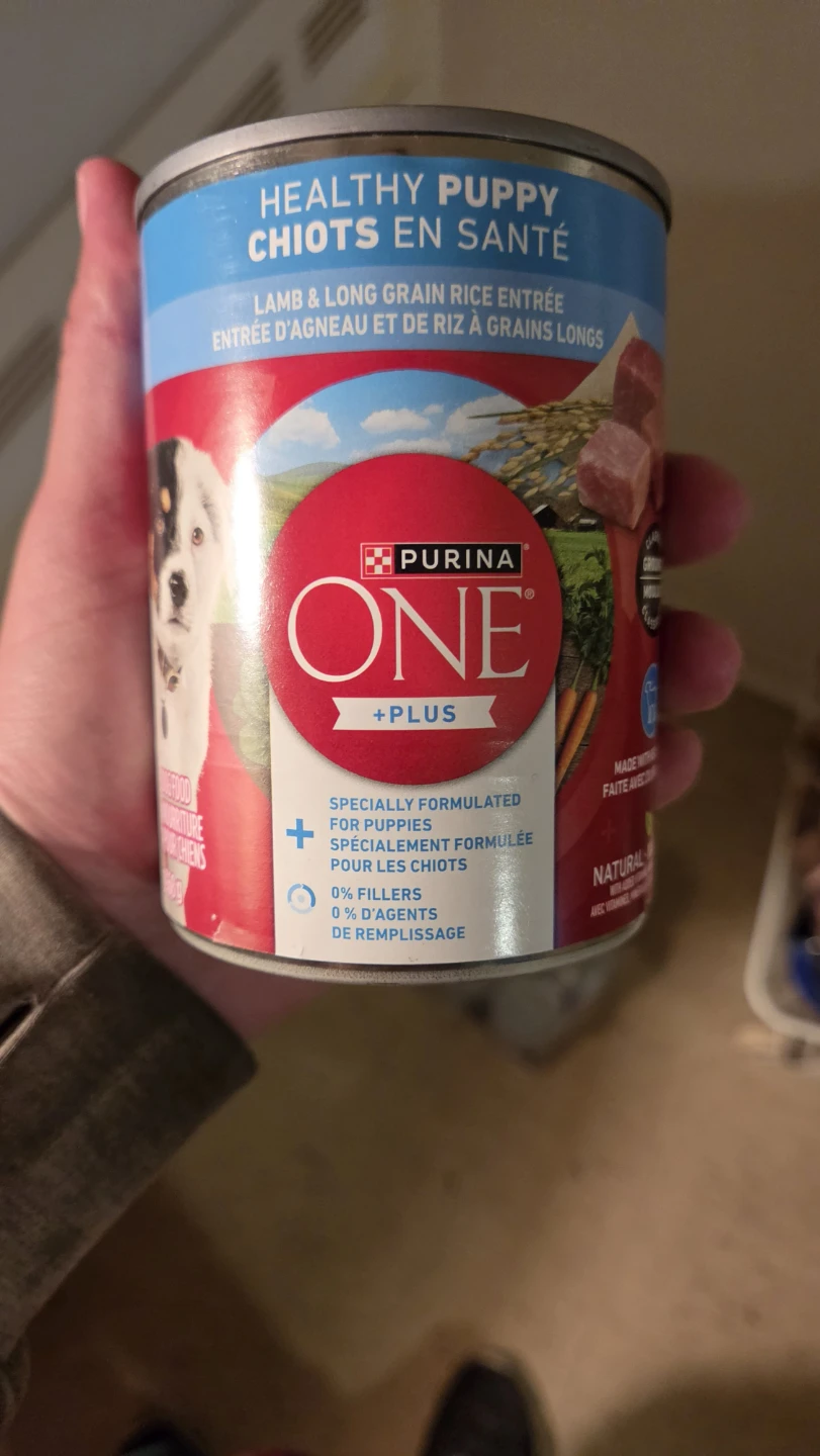 Purina ONE +Plus Healthy Puppy Lamb & Long Grain Rice Dog Food