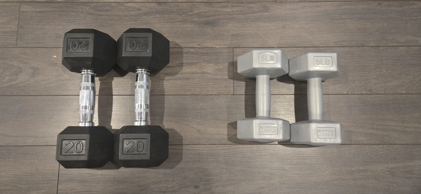 20 lb & 5 lb Dumbbells – Great Condition