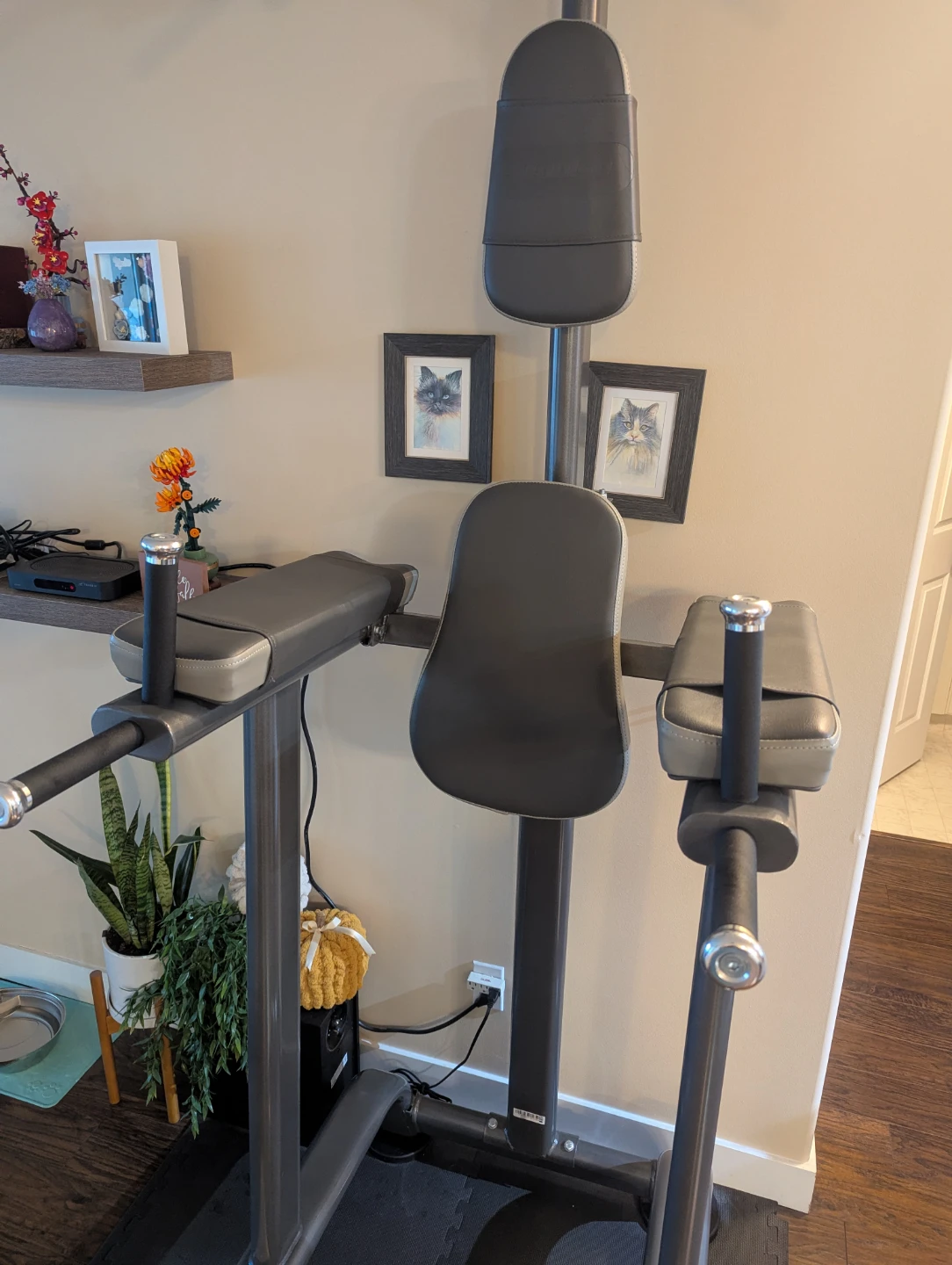 Pull Up Dip Station