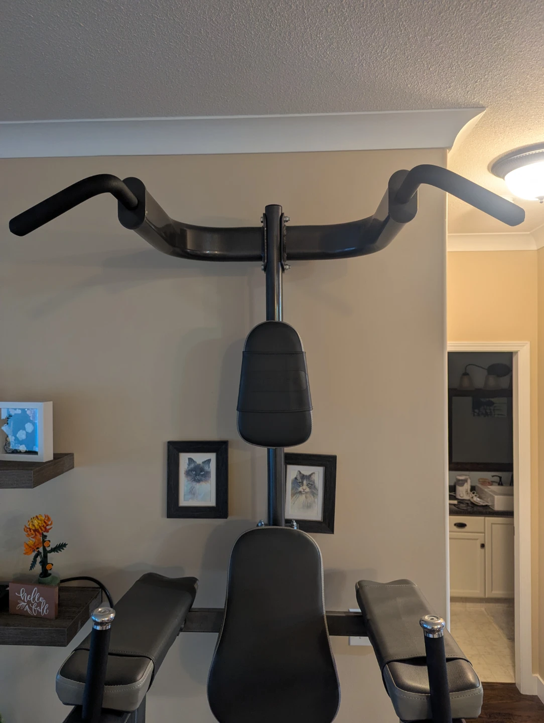 Pull Up Dip Station - photo 2