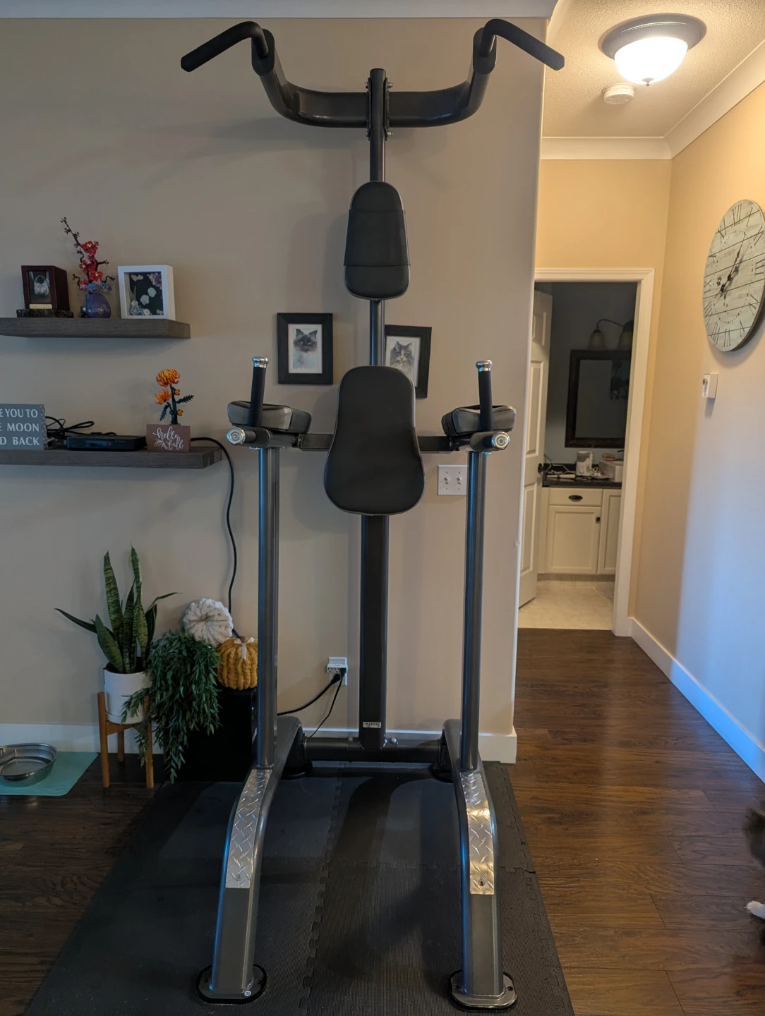 Pull Up Dip Station - photo 3